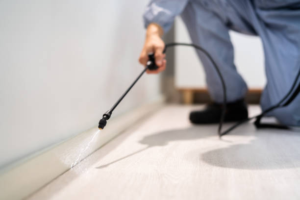 Licensed Cockroach Control service in La Grulla, TX - Nex Pest Control