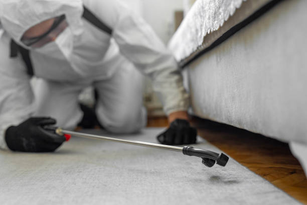 Professional Cockroach Control technician working in La Grulla, TX