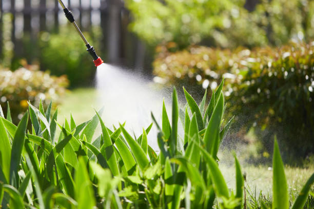 24/7 Emergency Cockroach Control experts in La Grulla, TX