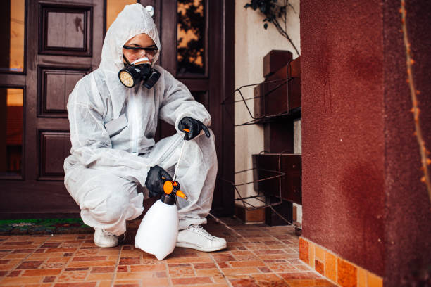 Reliable Cockroach Control contractor in La Grulla, TX by Nex Pest Control